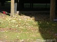 ftconst10-29 30-05-044 jpg ftconst10-29 30-05-044 jpg